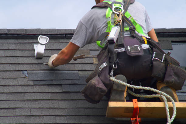 Best Roof Gutter Cleaning  in Riley, KS